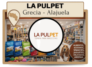 banner home page (6) (1) banner home page (6) (1)