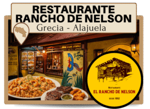 banner home page (7) (1) banner home page (7) (1)