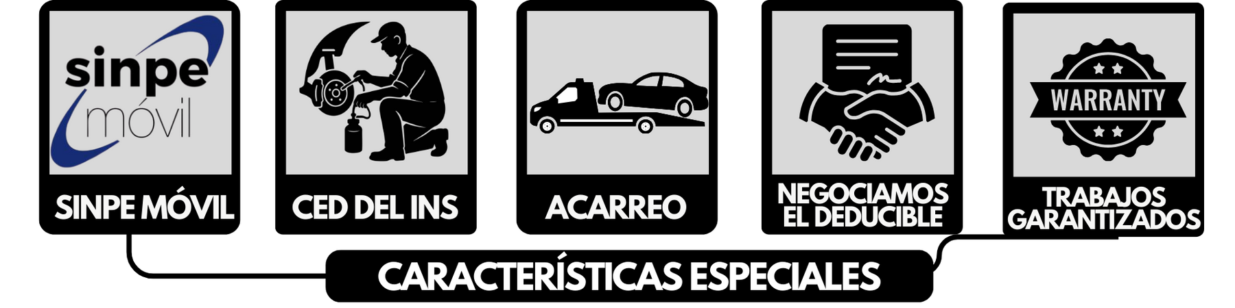 caracterÍsticas especiales