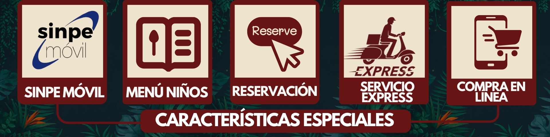 caracterÍsticas especiales